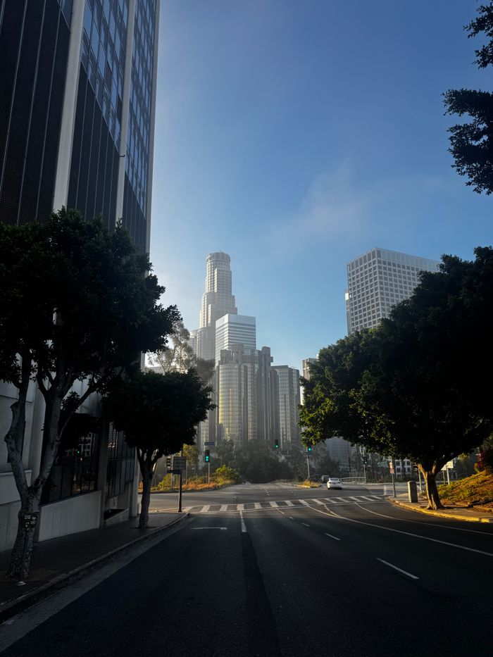 A serene view of Downtown Los Angeles with high-rise buildings enveloped in morning fog, captured from a quiet street.